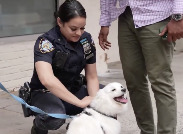 Officer petting rescued dog