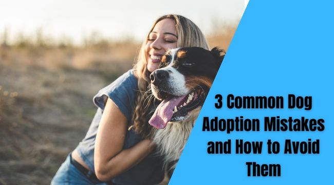 3-Common-Dog-Adoption-Mistakes-and-How-to-Avoid-Them