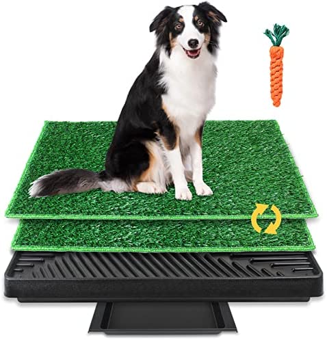 BRIAN-DANY-Dog-Toilet-Tray-with-Two-Artificial-Grass.jpg