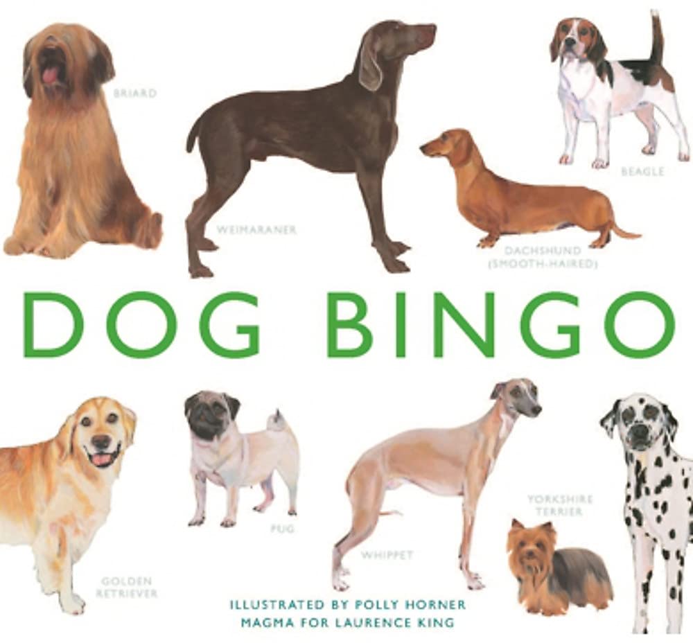 Dog-Bingo-Magma-for-Laurence-King.jpg