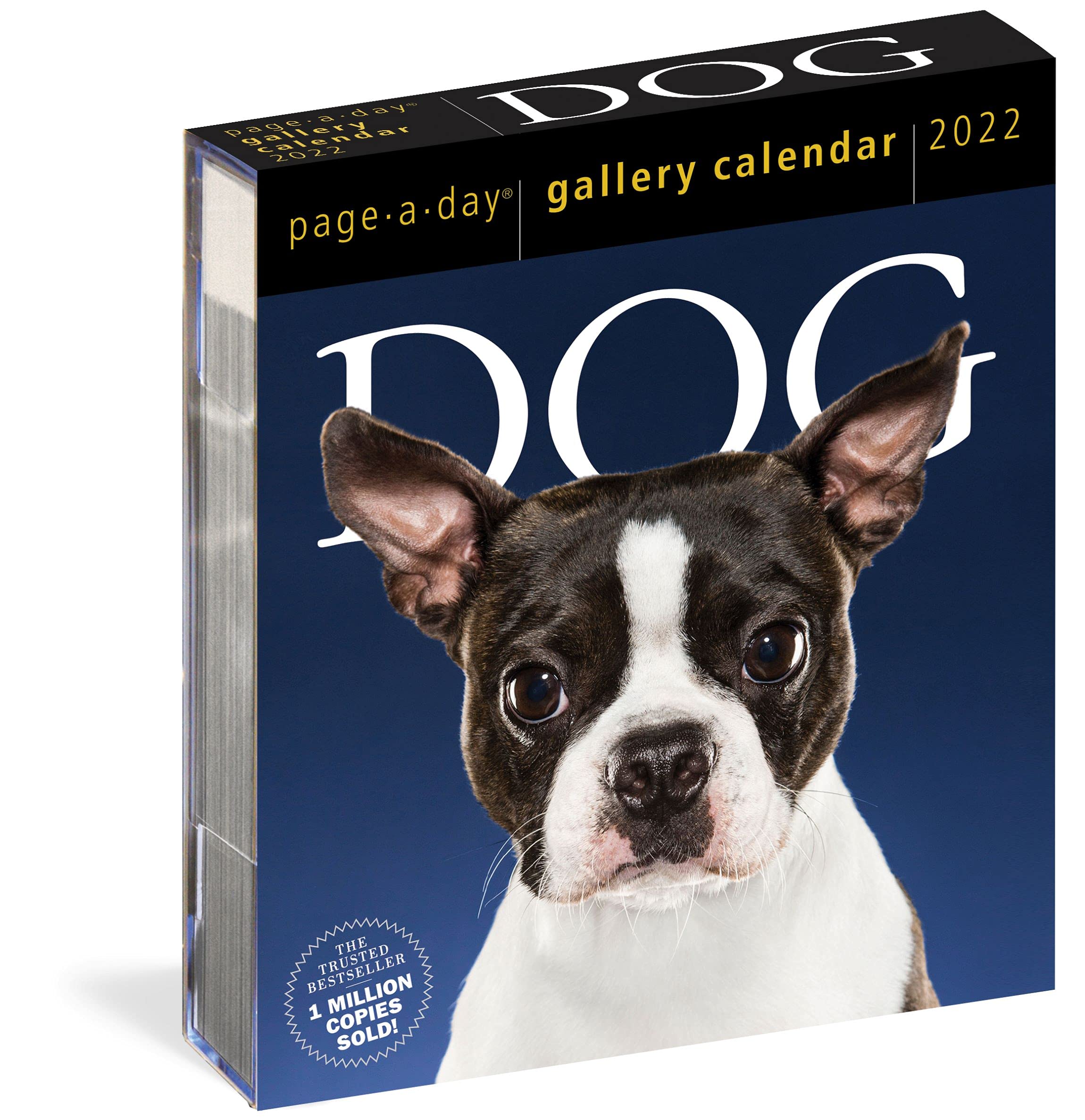 Dog-Page-A-Day-Gallery-Calendar-2022-Stunning-Portraits-That-Speak-to.jpg