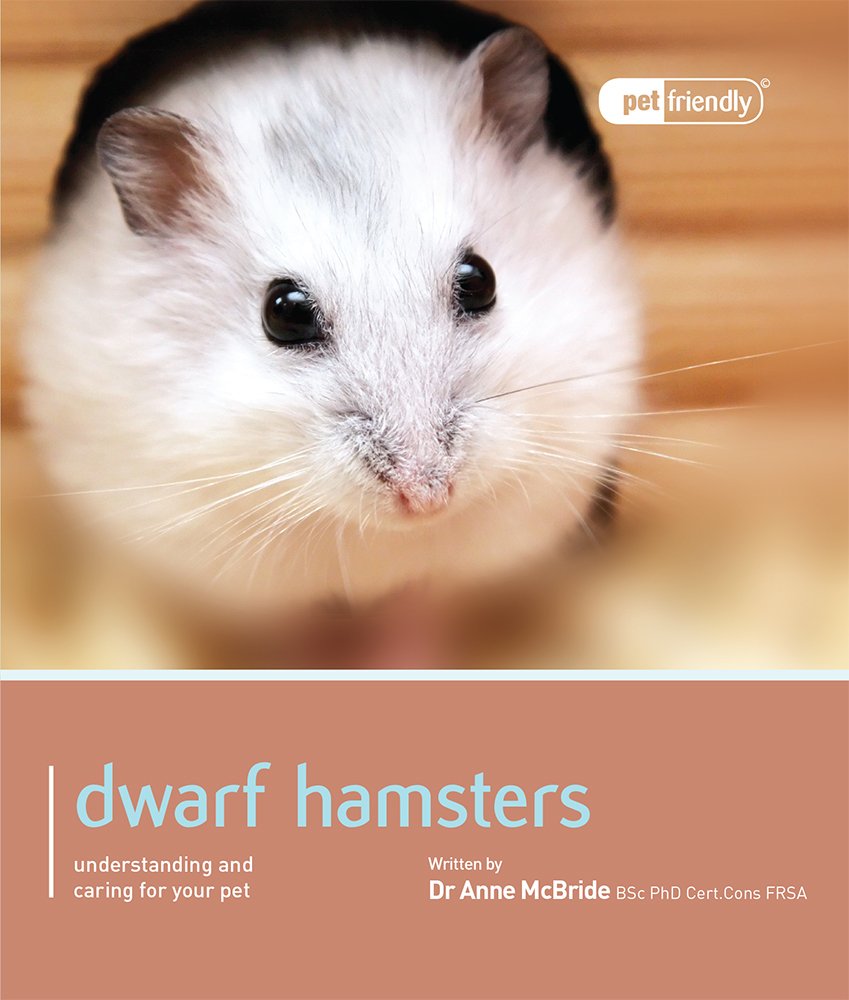 Dwarf-Hamsters-Understanding-and-Caring-for-Your-Pet-Pet-Friendly.jpg