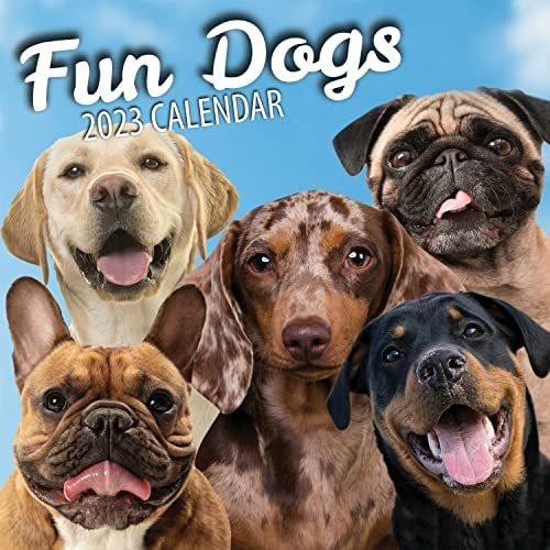 Fun-Dogs-Wall-Calendar-2023-Large-Family-Planner.jpg