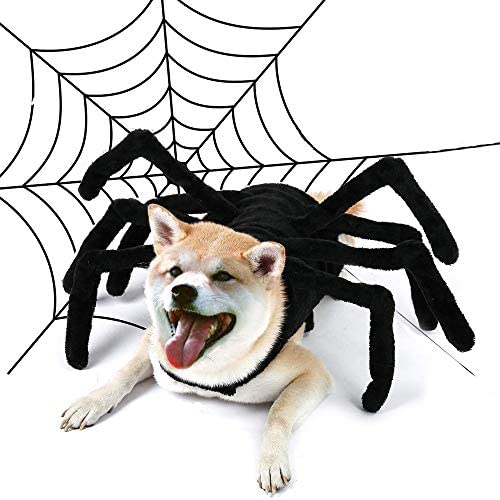 Halloween-Pet-Spider-Costume-Cat-Dog-Puppy-Hoilday-Simulation-Black.jpg