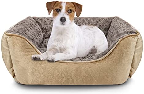 JOEJOY-Dog-Bed-Medium-Washable-Calming-Dog-Bed-Anti-Anxiety.jpg