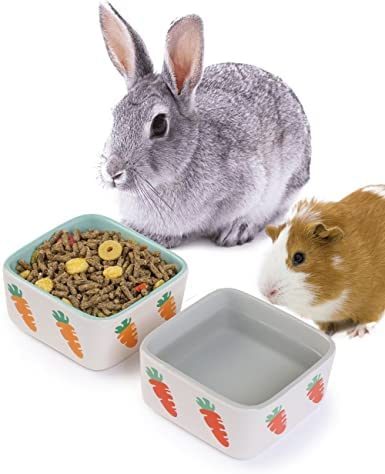 JanYoo-Rabbit-Accessories-Chinchilla-Food-Bowl-and-Water-Bowls-Feeding.jpg