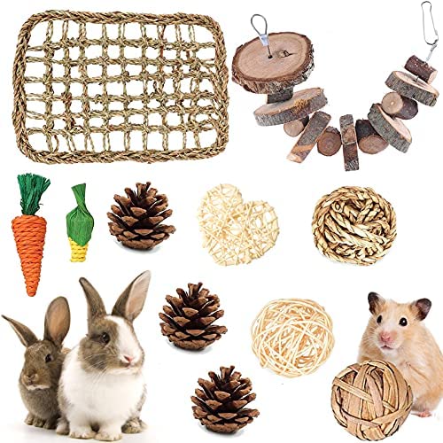 LLGLEU-Rabbit-Guinea-Pig-Chew-Toys-Activity-Play-Ball-Corns.jpg