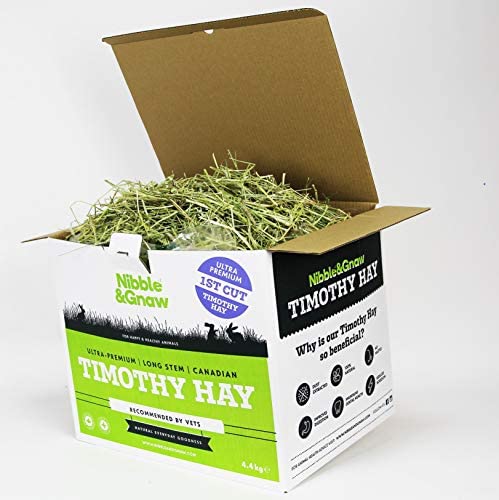 NibbleGnaw-Timothy-Hay-42Kg-Fresh-Green-Dust-Free-Long-Stem-Sun-Dried.jpg