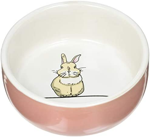 Nobby-Rabbit-Rodent-Ceramic-Bowl-Diameter-11-cm-x-45.jpg
