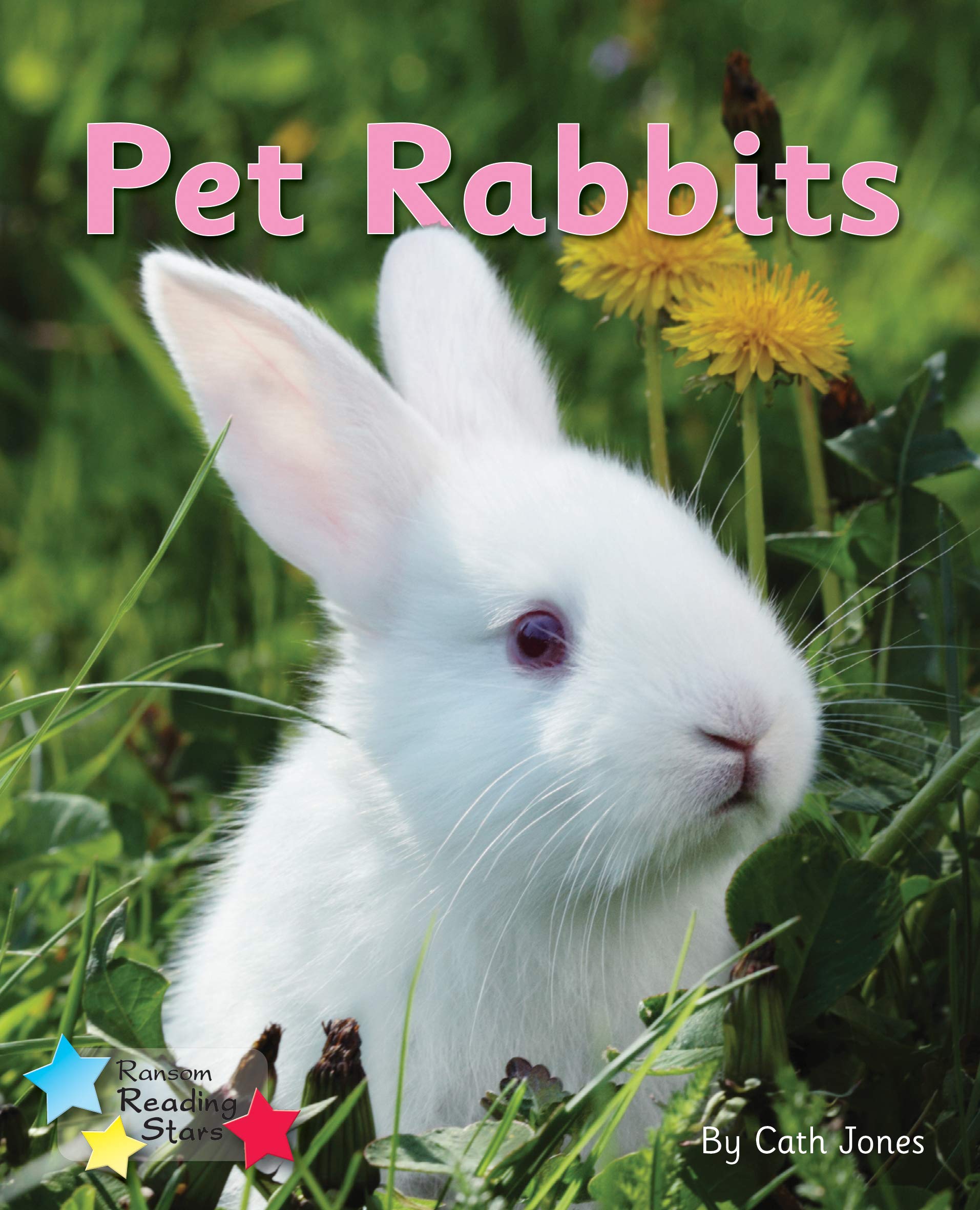 Pet-Rabbits-Phonics-Phase-3-Reading-Stars-Phonics.jpg