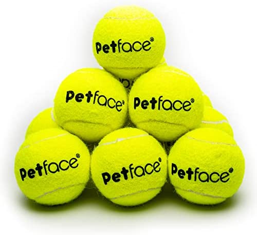 Petface-Super-Tennis-Balls-For-Dogs-Throw-and-Fetch-Outdoor.jpg