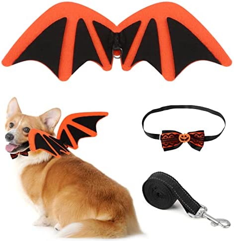ProChosen-Dog-Halloween-CostumesHalloween-Dog-Bat-Wings-Costume-with-Tie.jpg