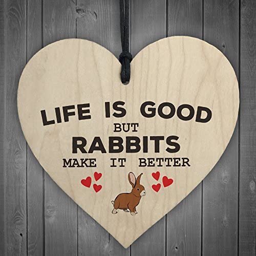 RED-OCEAN-Rabbits-Make-Life-Better-Wooden-Hanging-Heart-Plaque.jpg