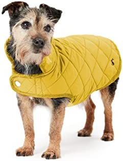 Rosewood-Joules-Antique-Gold-Quilted-Dog-Coat-Small-For-Small.jpg