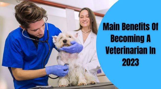 benefits-of-becoming-a-veterinarian