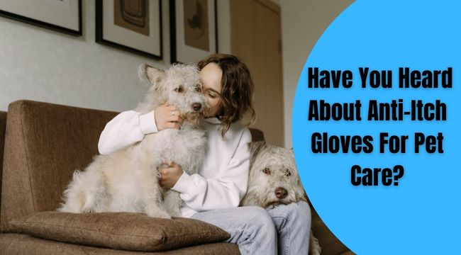 Have-You-Heard-About-Anti-Itch-Gloves-For-Pet-Care