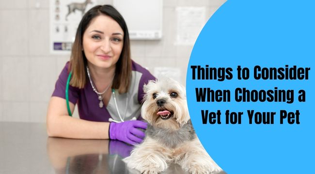 Things-to-Consider-When-Choosing-a-Vet-for-Your-Pet