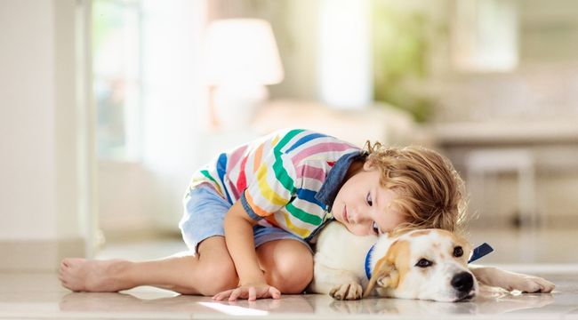 Dog-Breeds-for-Autism