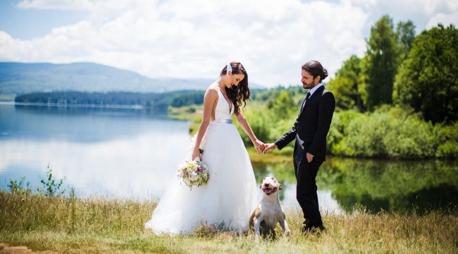 Ways-to-Include-Your-Pet-in-Your-Wedding