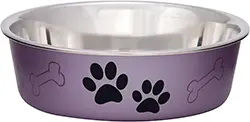 Stainless Steel Pet Bowl No Skid Spill Proof