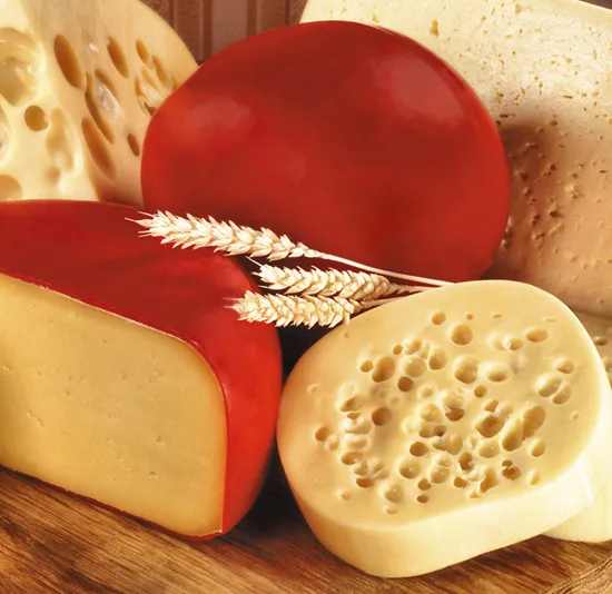 Gouda-Cheese
