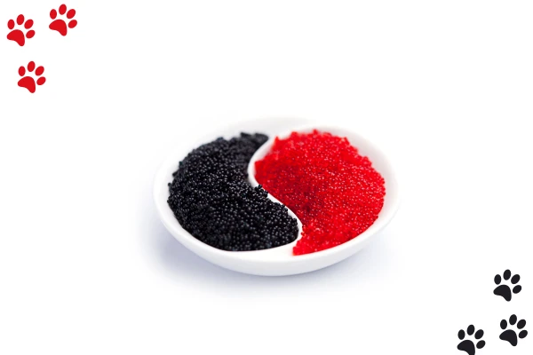 types-of-Caviar