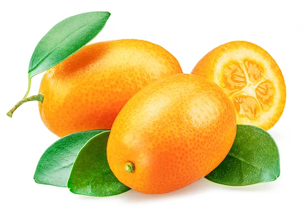 What-Is-a-Kumquat